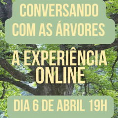 Dinheiro e Arvores - Conversando com as Árvores - Experiência