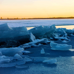 Red Light Green Light in Circus Tent for Woodwind Quintet(2024)
