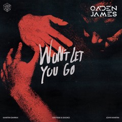 Martin Garrix - Won't Let You Go (Qaden James Remix)