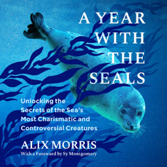 A Year with the Seals By Alix Morris, Read By Anna Crowe (Audiobook Excerpt)