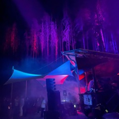 // dancing under dying trees pt.II // AMUSE-Festival