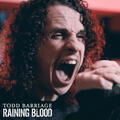Slayer - Raining Blood, but it's super emo