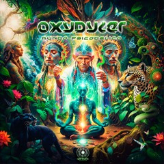 Oxydyzer - El Reino Psicodelico (Preview)