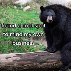 littler tiny bit more (feat 4cf & rosecat)