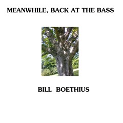 Meanwhile, Back at the Bass ...