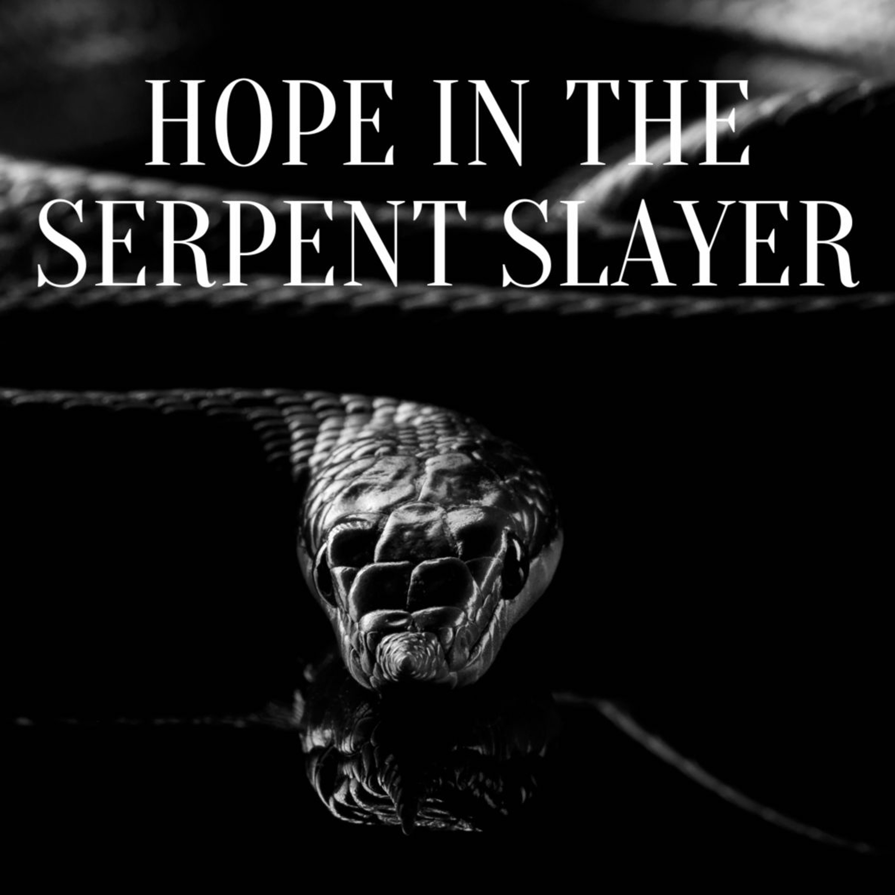 Hope In The Serpent Slayer episode artwork