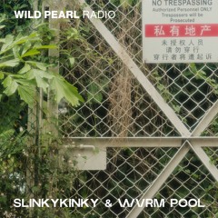 Wild Pearl Radio - Slinkykinky, WVRM POOL 11.01.24