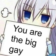 you are the big gay WIP