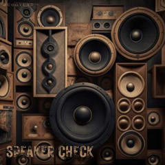 Speaker Check