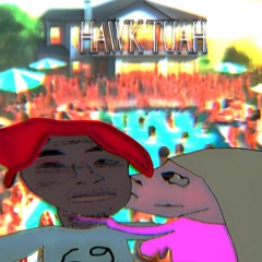 Hawk Tuah Feat. Mr. Kushboy, Penelope De Clare