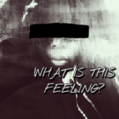 whatisthisfeeling(prodpieperbeatsandrokotensei)