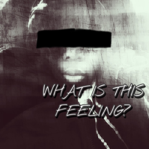 whatisthisfeeling(prodpieperbeatsandrokotensei)
