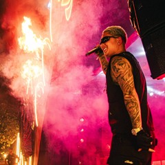 PUTARIA ACUSTICA - DJ ERY - MC VN & MC GL