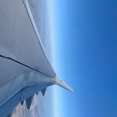 you