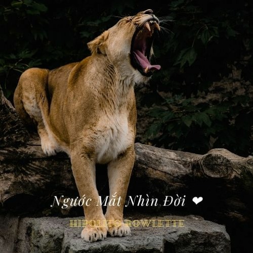 Ngước Mắt Nhìn Đời ❤️