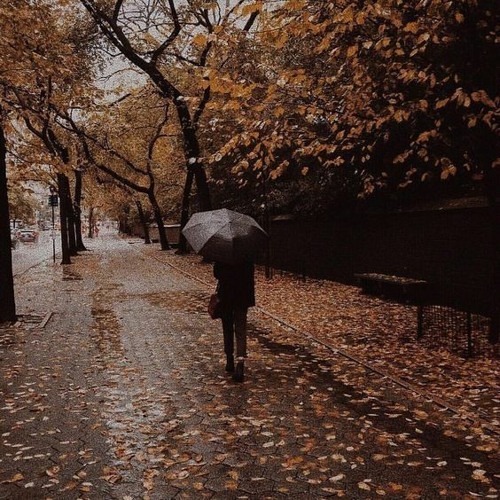 광화문에서 cover