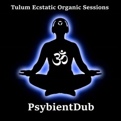 Tulum Ecstatic Sessions 2022 Mexico