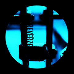 P.T.B.S. - Rhythm Of The Beat (Danitz Remix)