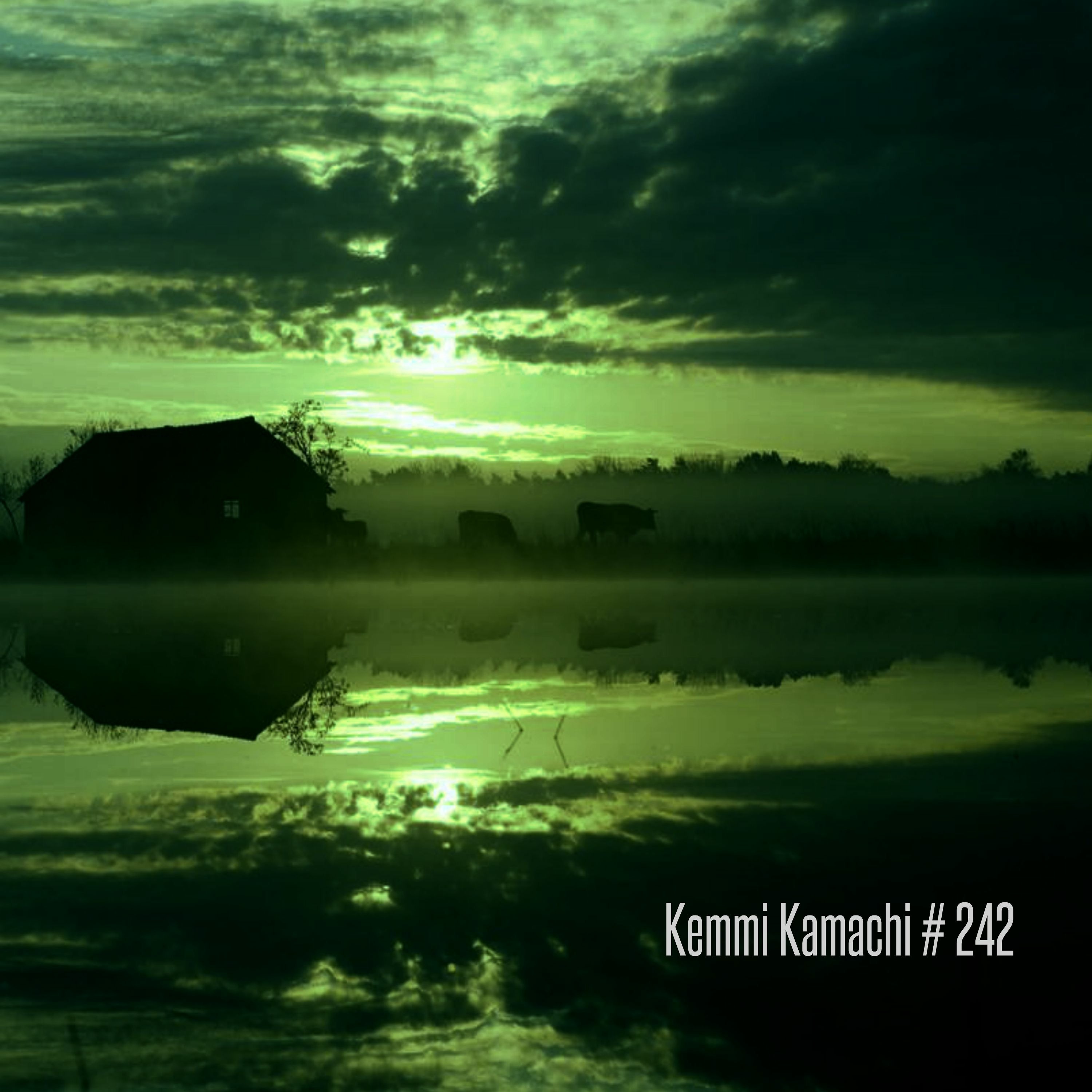 Kemmi Kamachi