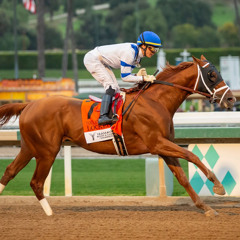 My Race Call Of The 2025 Santa Anita Handicap At Santa Anita Racetrack