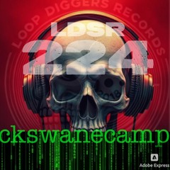 LDSR 224 - ckswanecamp