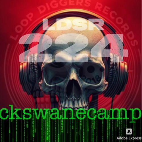 LDSR 224 - ckswanecamp