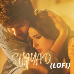 Shayad - Love Aaj Kal | (lo-fi) | Kartik | Sara | Arushi | Pritam | Arijit Singh l Bollywood Lofi