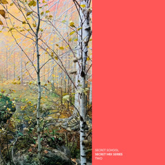 Secret Mix Series: Two