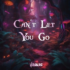 CAN'T LET YOU GO