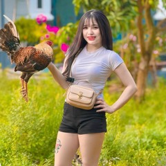 NST2 2k25 ĐỘC THÂN VUI TÍNH NÊN DƯƠNG TÍNH VỚI BÉ MÈO VOL2 - DUYHUY x BÉ MÈO .mp3