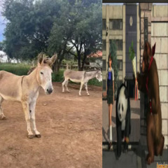 ОДНИ(emogisfuckedup)