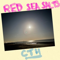 Red Sea Salt 1