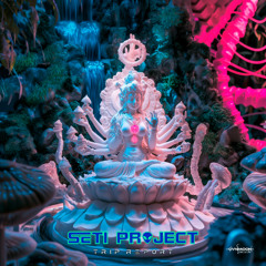 02 - SETI Project - Golem
