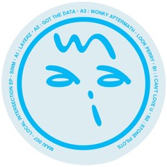 Premiere: A2 - SINM - Got The Data [MAAI007]