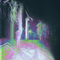 991HZshattersplatinumprison