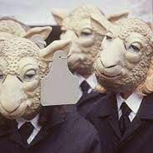 Demo || القطيع