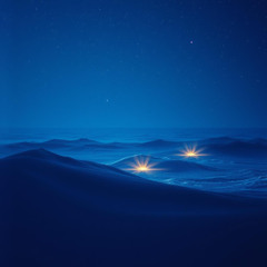 Nächtliche Stimmen in Tegel