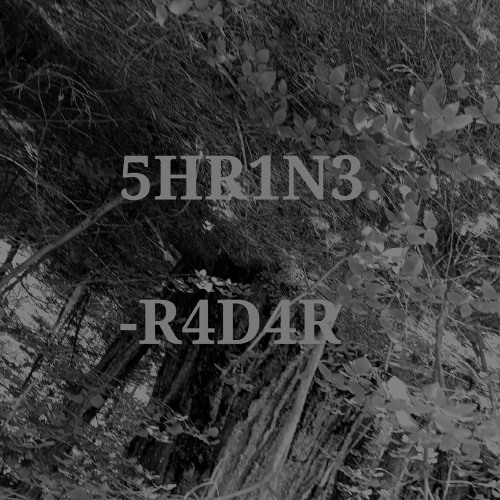 5HR1N3.