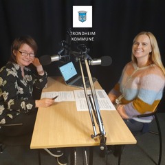 Journalføring i praksis