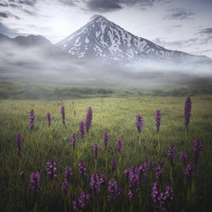 flowertrip