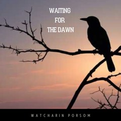 Waiting For The Dawn [2]