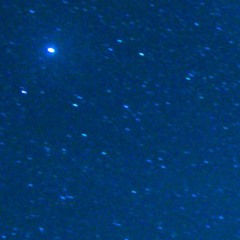 Bluestar