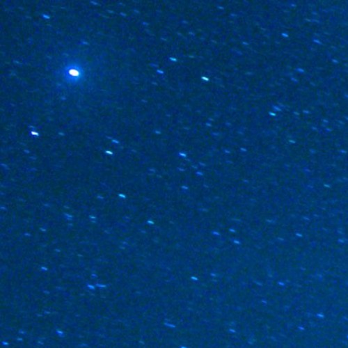 Bluestar