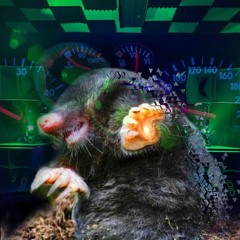 under-grounded hole, dancin with se mole