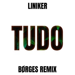 Liniker - Tudo (Børges Remix)