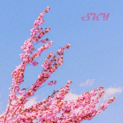 [FREE] Violon X Fuk sumn type beat "Sky"