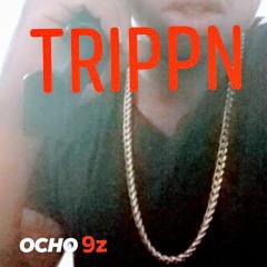 Trippn