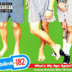 Whats My Age Again - Blink 182 Guitar Cover