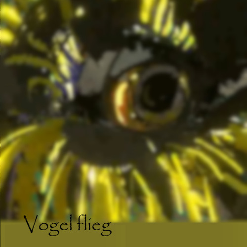 Vogel flieg