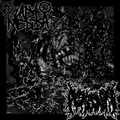 ASFIXIA - SIGNIFICANTLY DECOMPOSED